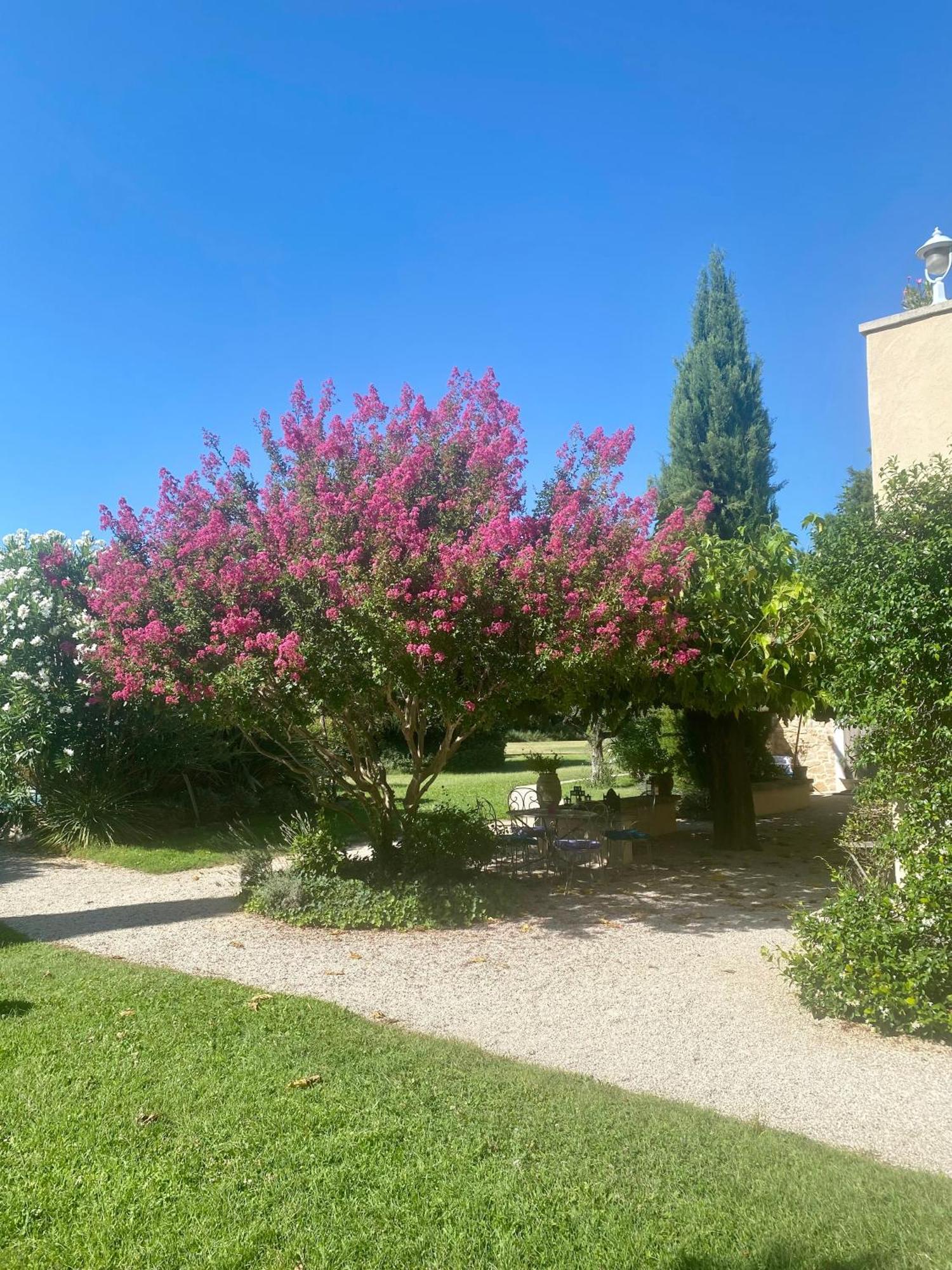 לינה וארוחת בוקר מונטה Mas Les Fleurs D'Hilaire מראה חיצוני תמונה